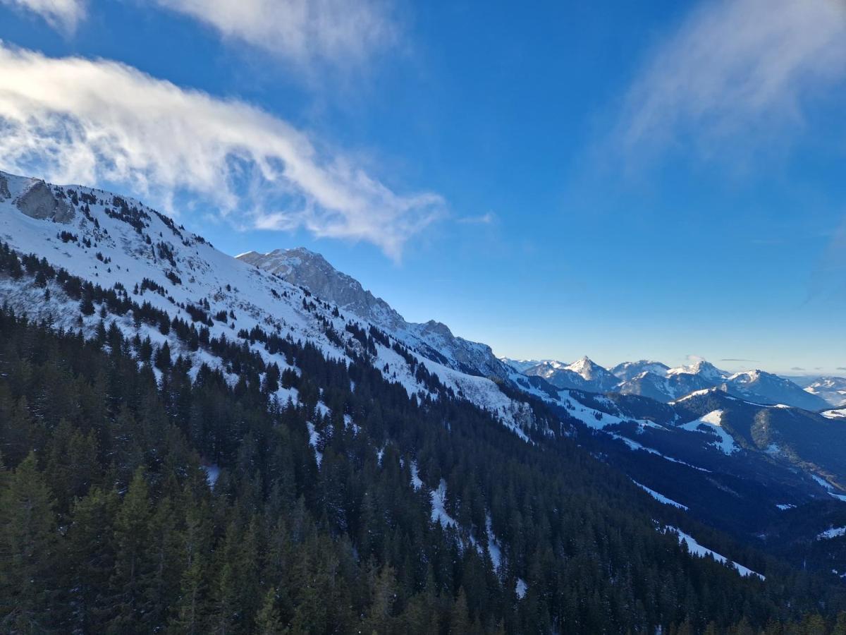 Appartement Tout Confort Montagne Et Lac Leman Thollon-les-Memises Esterno foto